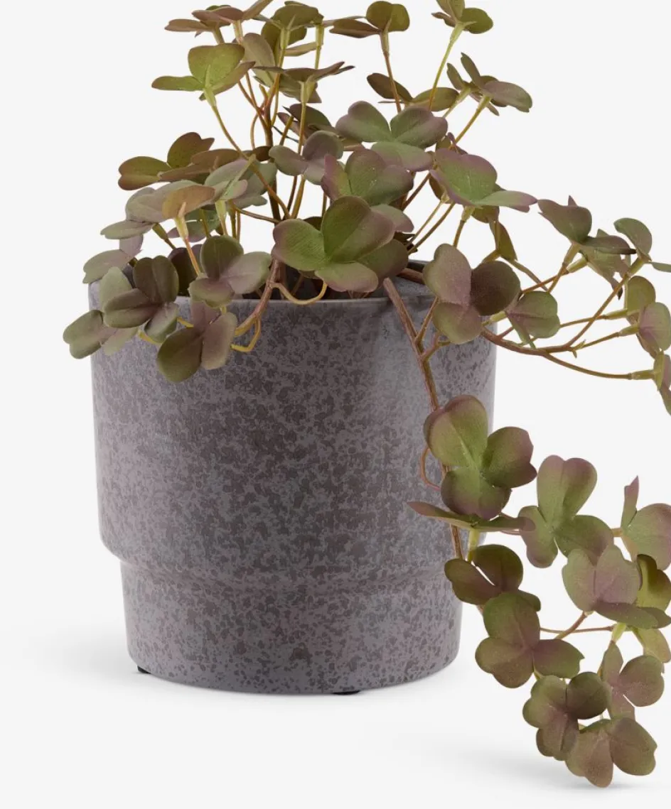 Sale BERGURPlanta artificial BERGUR L21cm colgante Plantas Artificiales