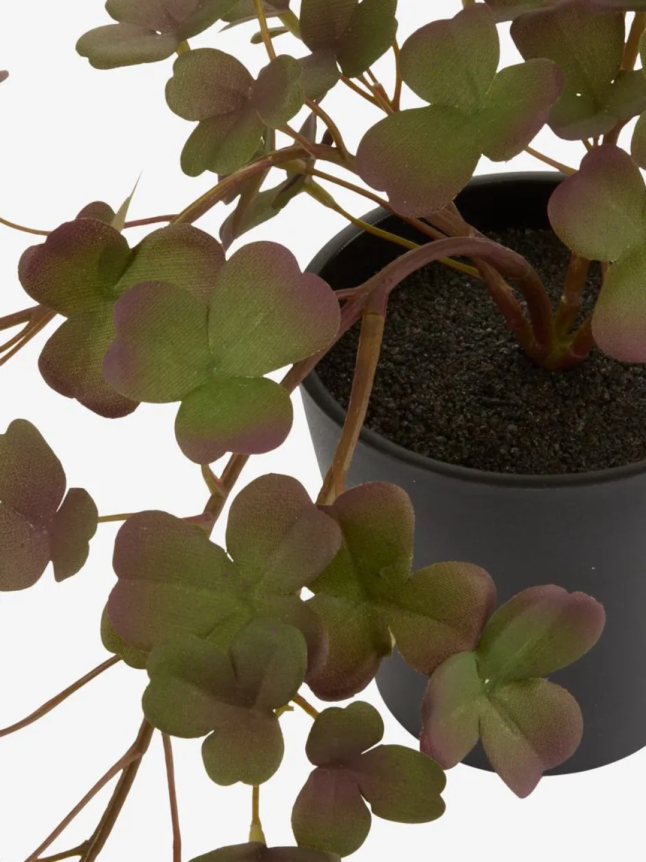 Sale BERGURPlanta artificial BERGUR L21cm colgante Plantas Artificiales