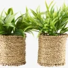 Best BERTRAMPlanta artificial BERTRAM Ø8xA18cm variado Plantas Artificiales