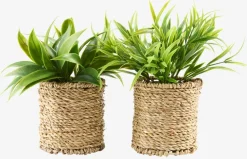 Best BERTRAMPlanta artificial BERTRAM Ø8xA18cm variado Plantas Artificiales