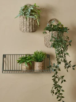 Best BERTRAMPlanta artificial BERTRAM Ø8xA18cm variado Plantas Artificiales