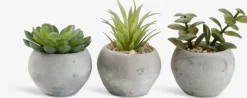 Sale BRORPlanta artificial BROR Ø7xA9cm variado Plantas Artificiales