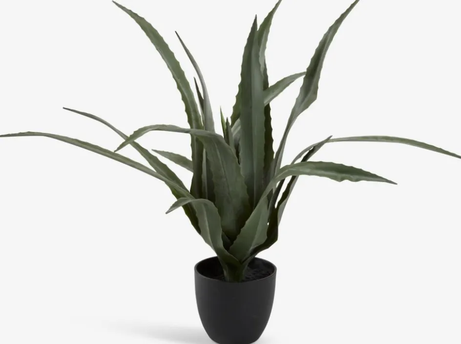 Best CELIUSPlanta artificial CELIUS A65cm aloe vera Plantas Artificiales