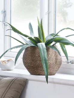 Best CELIUSPlanta artificial CELIUS A65cm aloe vera Plantas Artificiales