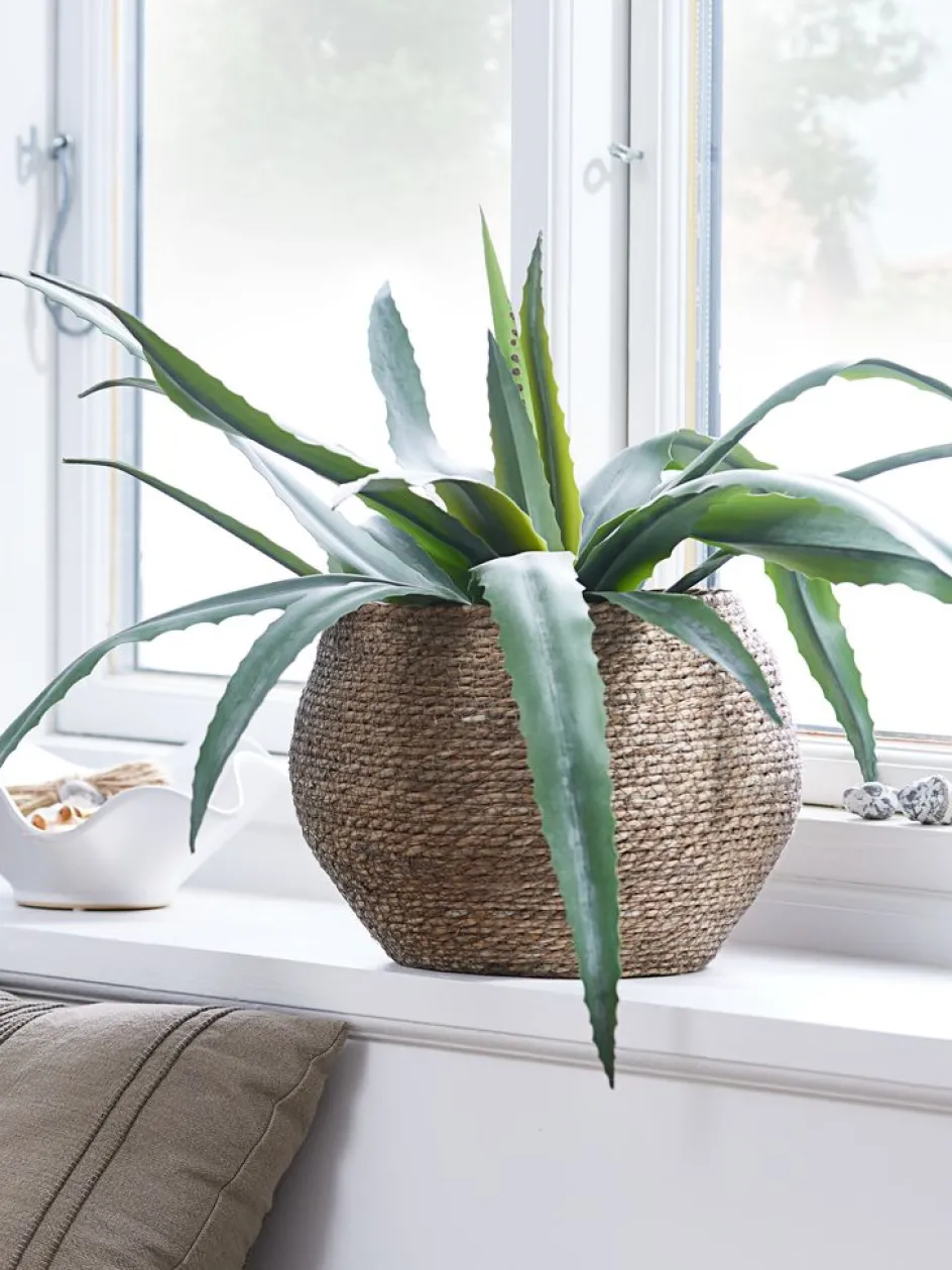 Best CELIUSPlanta artificial CELIUS A65cm aloe vera Plantas Artificiales