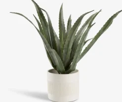 Best CELIUSPlanta artificial CELIUS A65cm aloe vera Plantas Artificiales