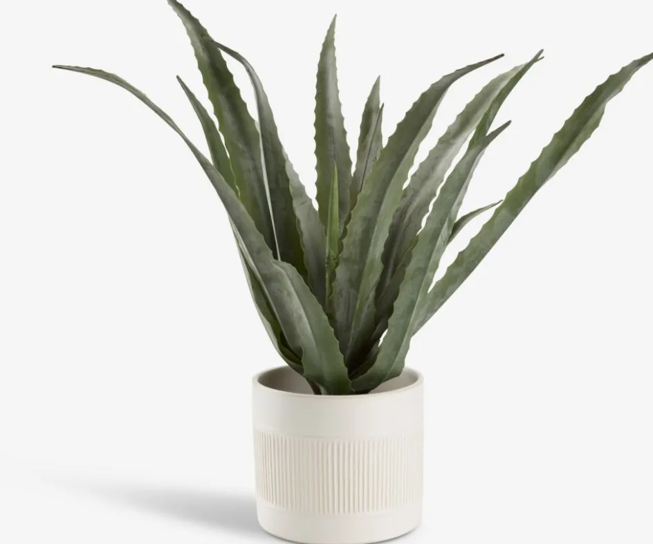 Best CELIUSPlanta artificial CELIUS A65cm aloe vera Plantas Artificiales