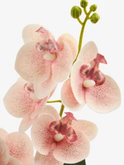 Outlet GUDJONPlanta artificial GUDJON A35cm orquídea rosa Plantas Artificiales