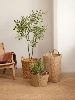 Clearance GUNNULFPlanta artificial GUNNULF A150cm con maceta Plantas Artificiales