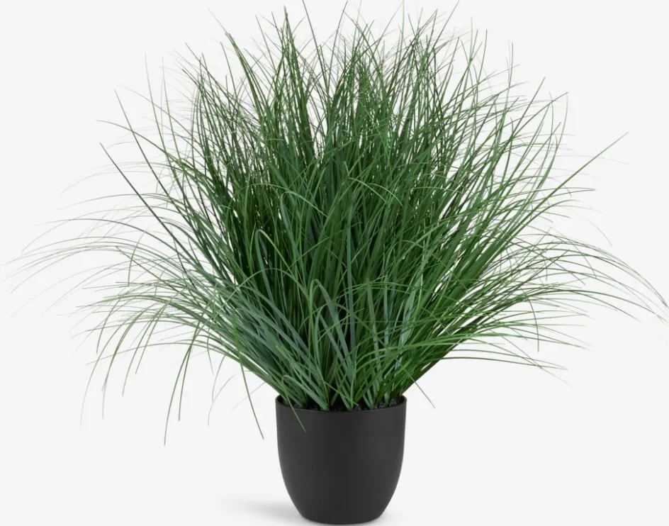 Sale HAVELLEPlanta artificial HAVELLE A65cm gramínea verde Plantas Artificiales Exterior