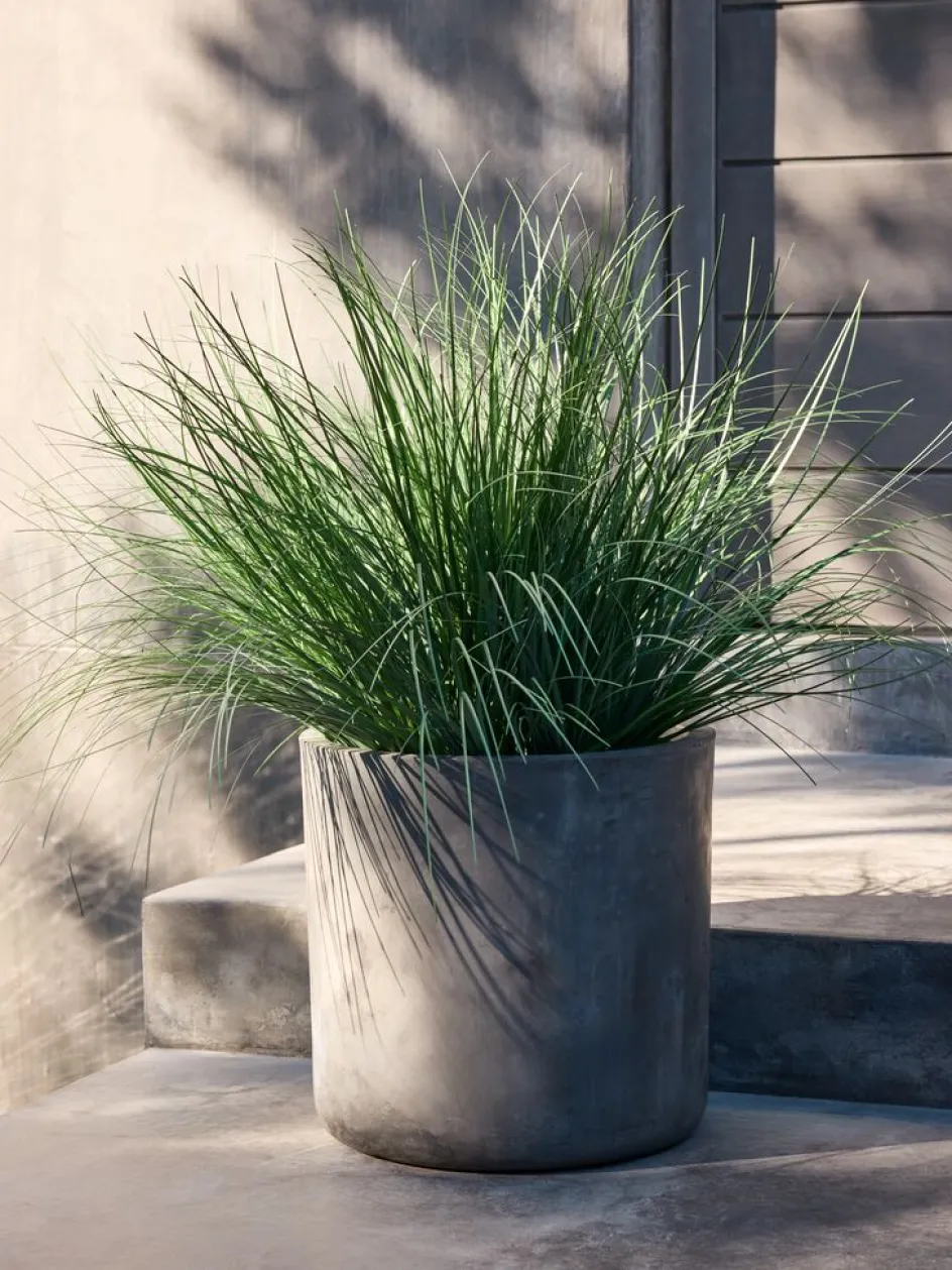 Sale HAVELLEPlanta artificial HAVELLE A65cm gramínea verde Plantas Artificiales Exterior