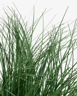 Sale HAVELLEPlanta artificial HAVELLE A65cm gramínea verde Plantas Artificiales Exterior