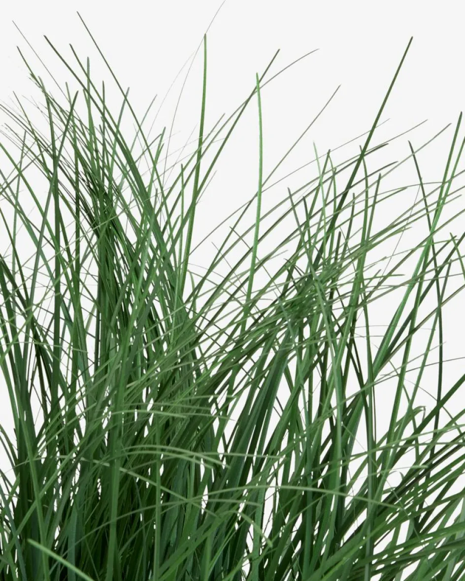 Sale HAVELLEPlanta artificial HAVELLE A65cm gramínea verde Plantas Artificiales Exterior