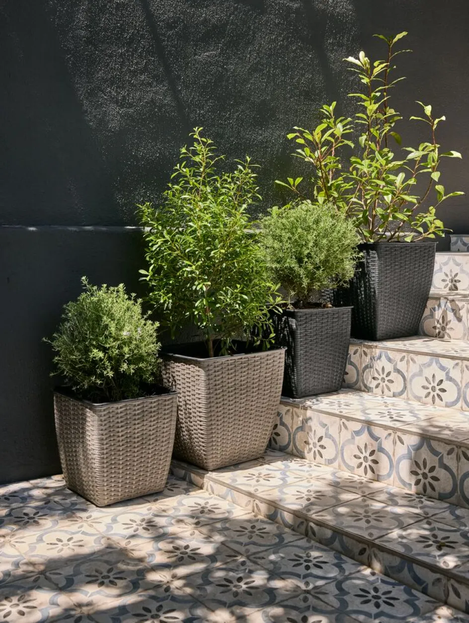 Hot ISLOMCesto de jardín ISLOM 31x31x32 Maceteros