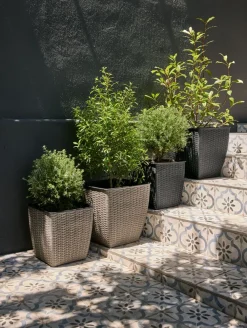 ISLOMCesto de jardín ISLOM 38x38x39 Maceteros