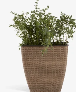 Discount ISLOMCesto de jardín ISLOM 38x38x39 variado Maceteros