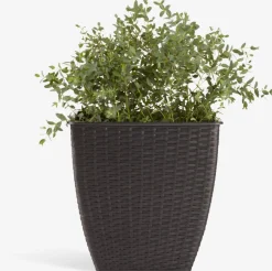 Discount ISLOMCesto de jardín ISLOM 38x38x39 variado Maceteros