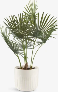Hot JAKOBPlanta artificial JAKOB A73cm verde Plantas Artificiales
