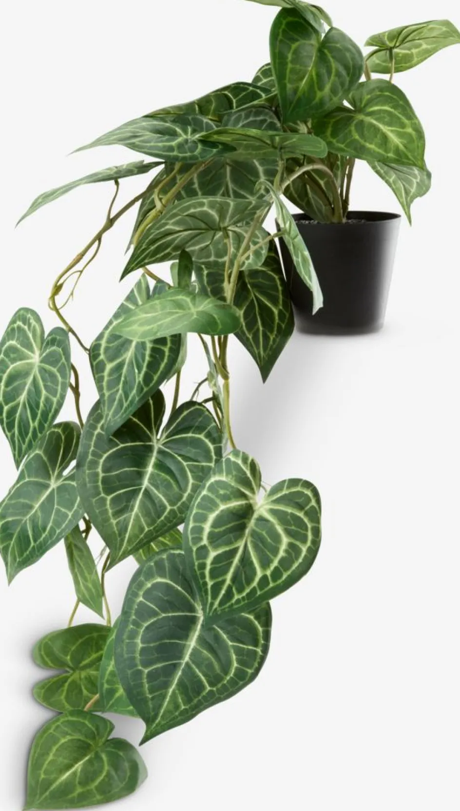 Online KNOPPSVANEPlanta artificial KNOPPSVANE A30cm verde Plantas Artificiales Exterior