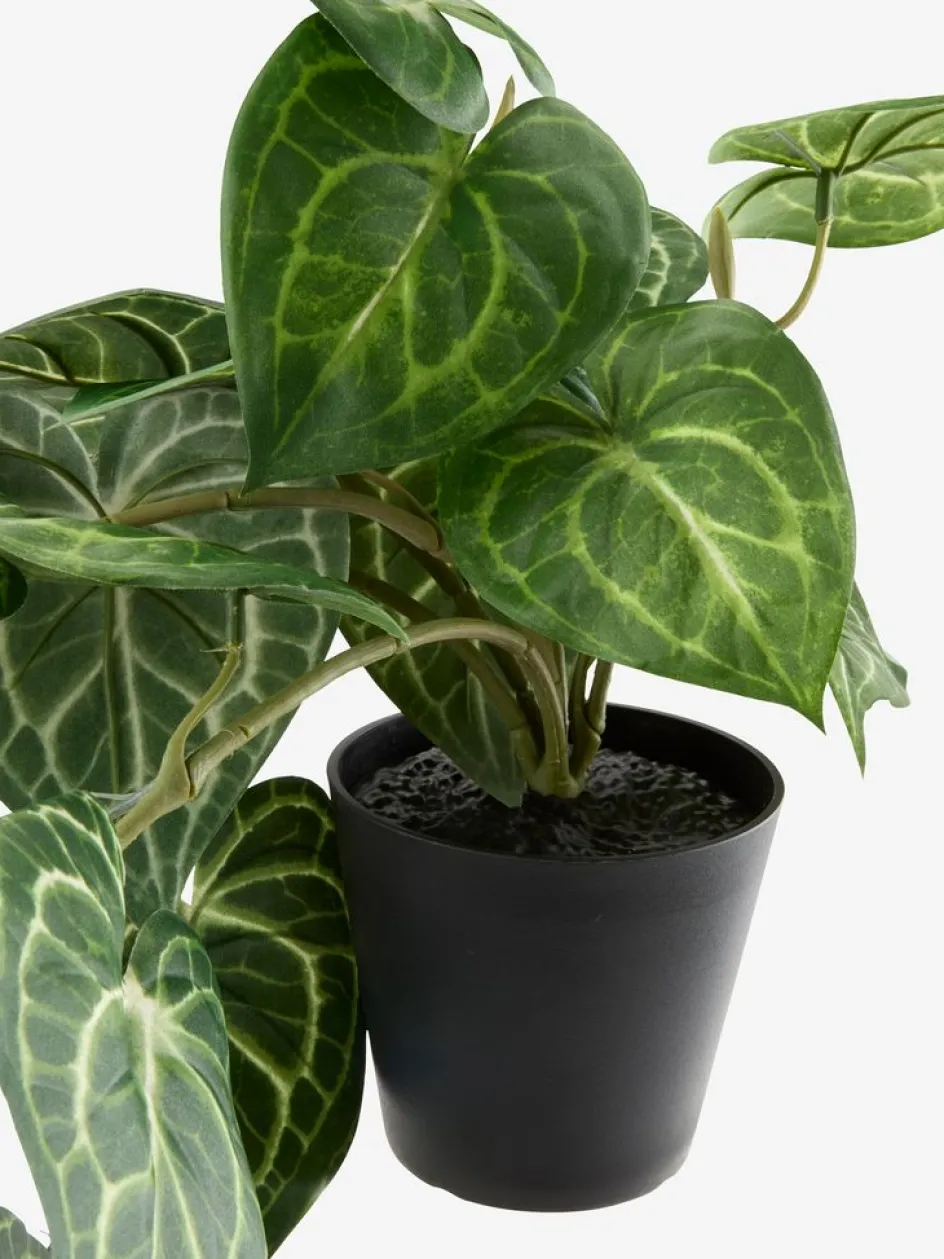 Online KNOPPSVANEPlanta artificial KNOPPSVANE A30cm verde Plantas Artificiales Exterior