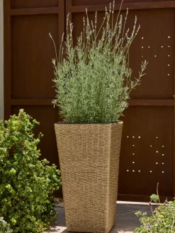 Hot KUBBCesto de jardín KUBB A36xL36xA70 Maceteros