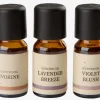 New LEONAceite aromático LEON 10ml 3 unidades Velas Aromáticas
