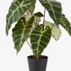 MARIUSPlanta artificial MARIUS Ø38xA42cm Plantas Artificiales