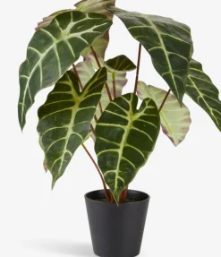 MARIUSPlanta artificial MARIUS Ø38xA42cm Plantas Artificiales