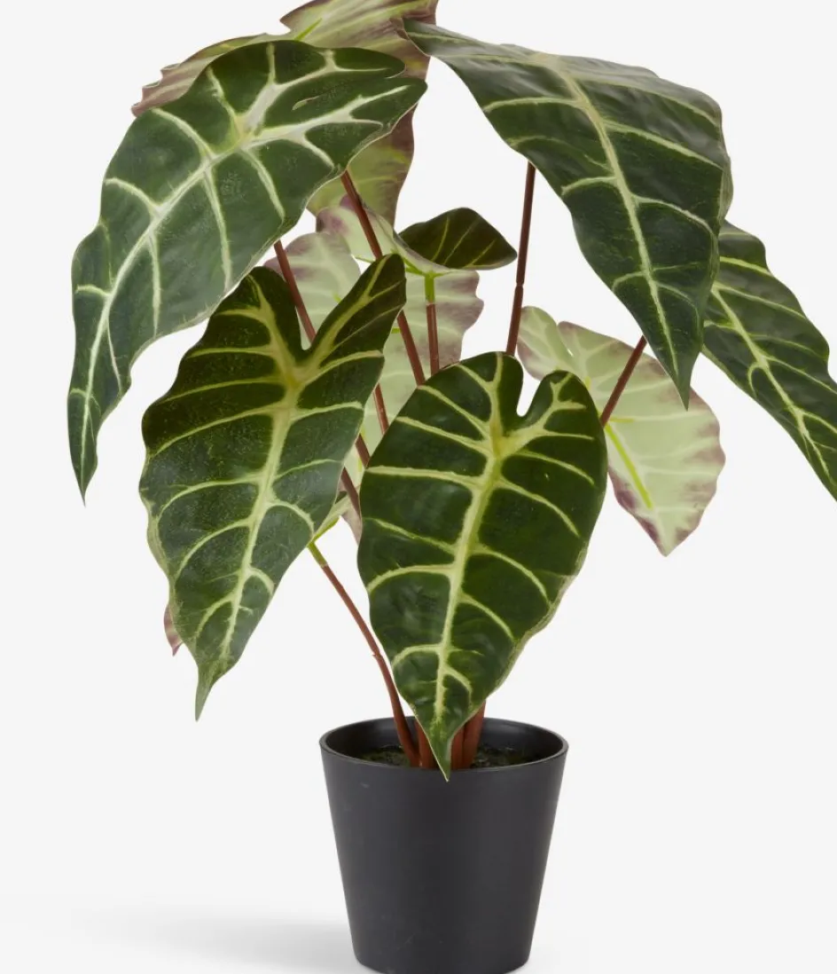 MARIUSPlanta artificial MARIUS Ø38xA42cm Plantas Artificiales