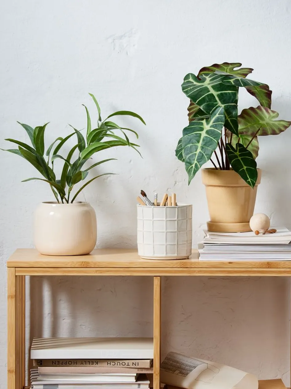 MARIUSPlanta artificial MARIUS Ø38xA42cm Plantas Artificiales