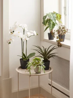 Discount MATINUSPlanta artificial MATINUS A62cm orquídea blanca Plantas Artificiales