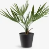 Best PAULPlanta artificial PAUL A33cm verde Plantas Artificiales