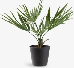 Best PAULPlanta artificial PAUL A33cm verde Plantas Artificiales