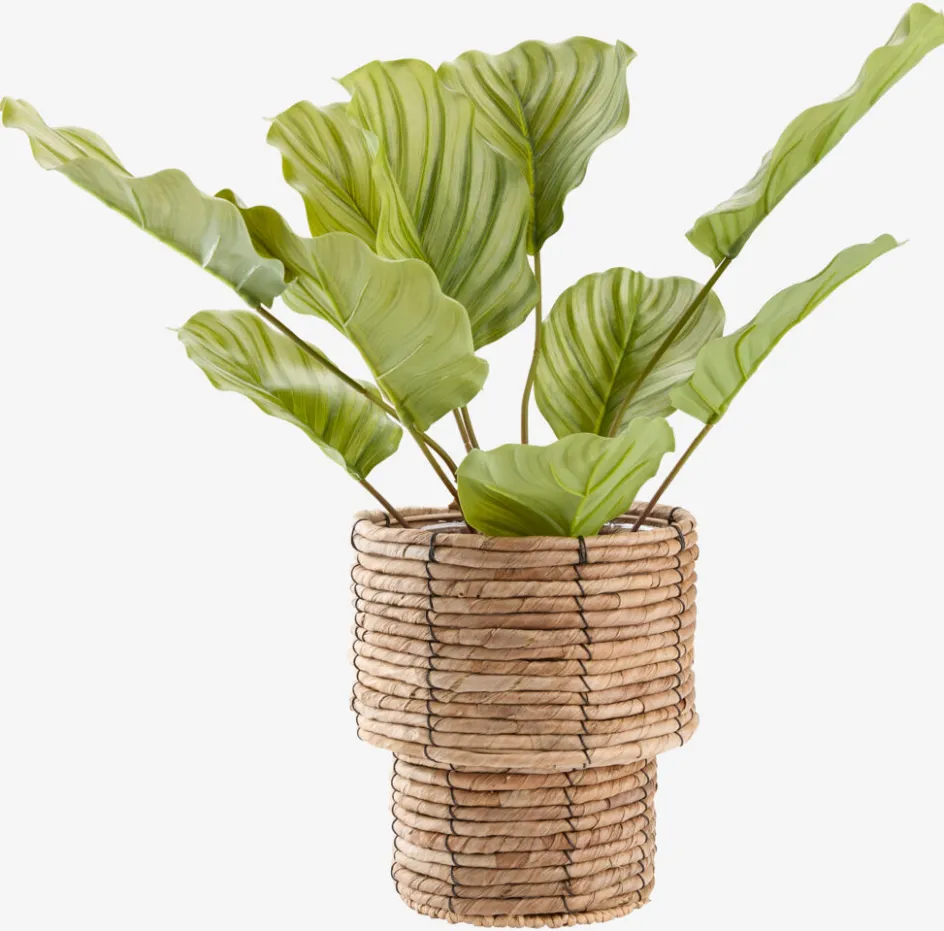 Sale PETTERMaceta PETTER Ø19xA21cm natural Macetas