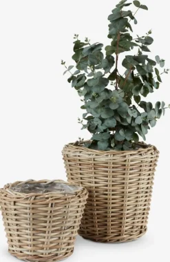 RINGTROSTCesto de jardín RINGTROST Ø37/32 kubu natural juego de 2 Maceteros