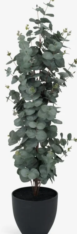 Clearance RIPAPlanta artificial RIPA A90cm eucalipto Plantas Artificiales Exterior