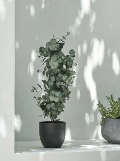 Clearance RIPAPlanta artificial RIPA A90cm eucalipto Plantas Artificiales Exterior