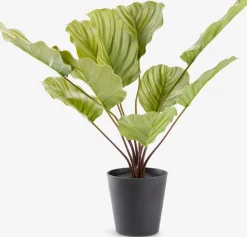 New ROLFPlanta artificial ROLF A55cm verde Plantas Artificiales