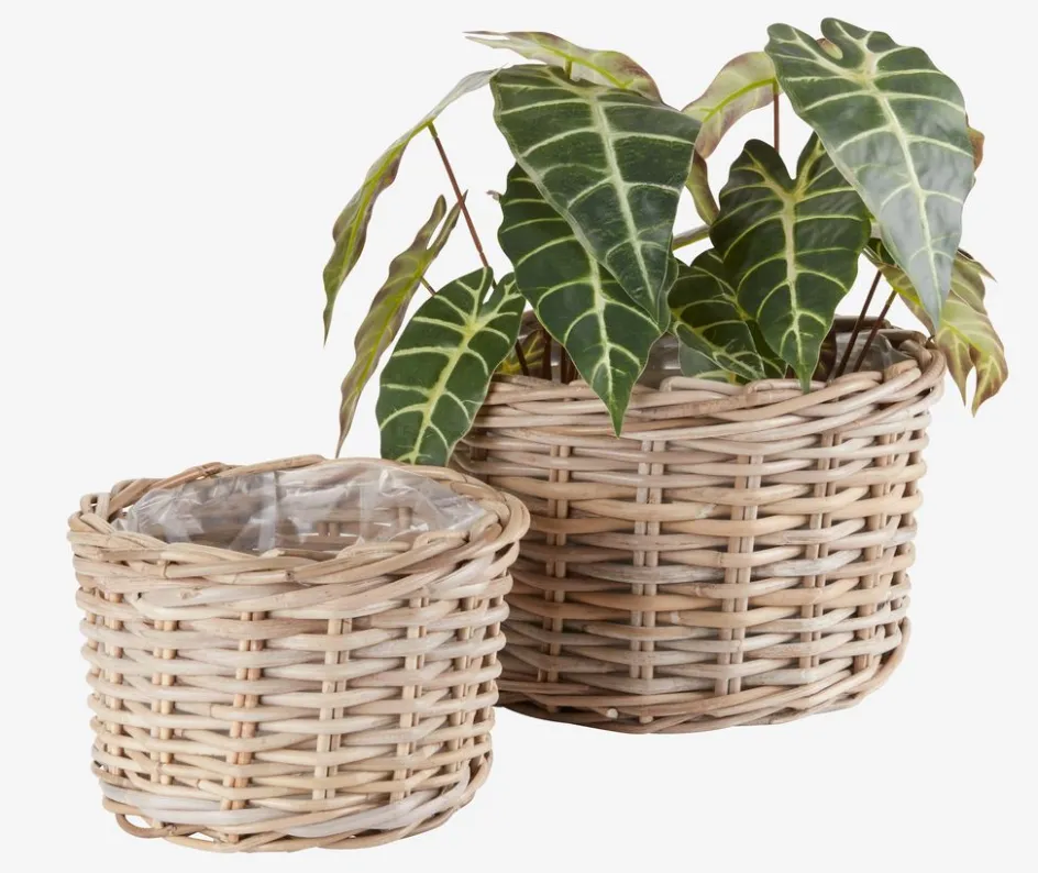 Clearance SANSEBIECesto de jardín SANSEBIE Ø35/27 kubu natural juego de 2 Maceteros