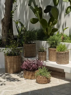 Online SANSEBIECesto de jardín SANSEBIE Ø50/40 kubu natural 2 unidades Maceteros