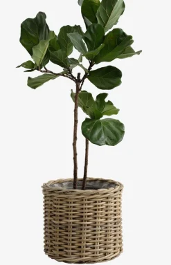 Best SEGLACesto de jardín SEGLA Ø50xA45 ratán natural Maceteros