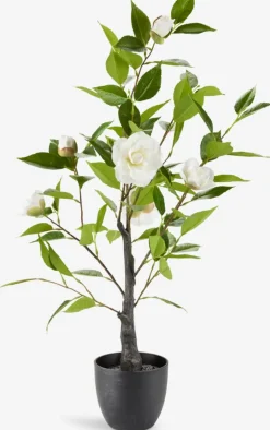 Hot SOLOPGANGPlanta artificial SOLOPGANG A80 rosal blanco Plantas Artificiales Exterior