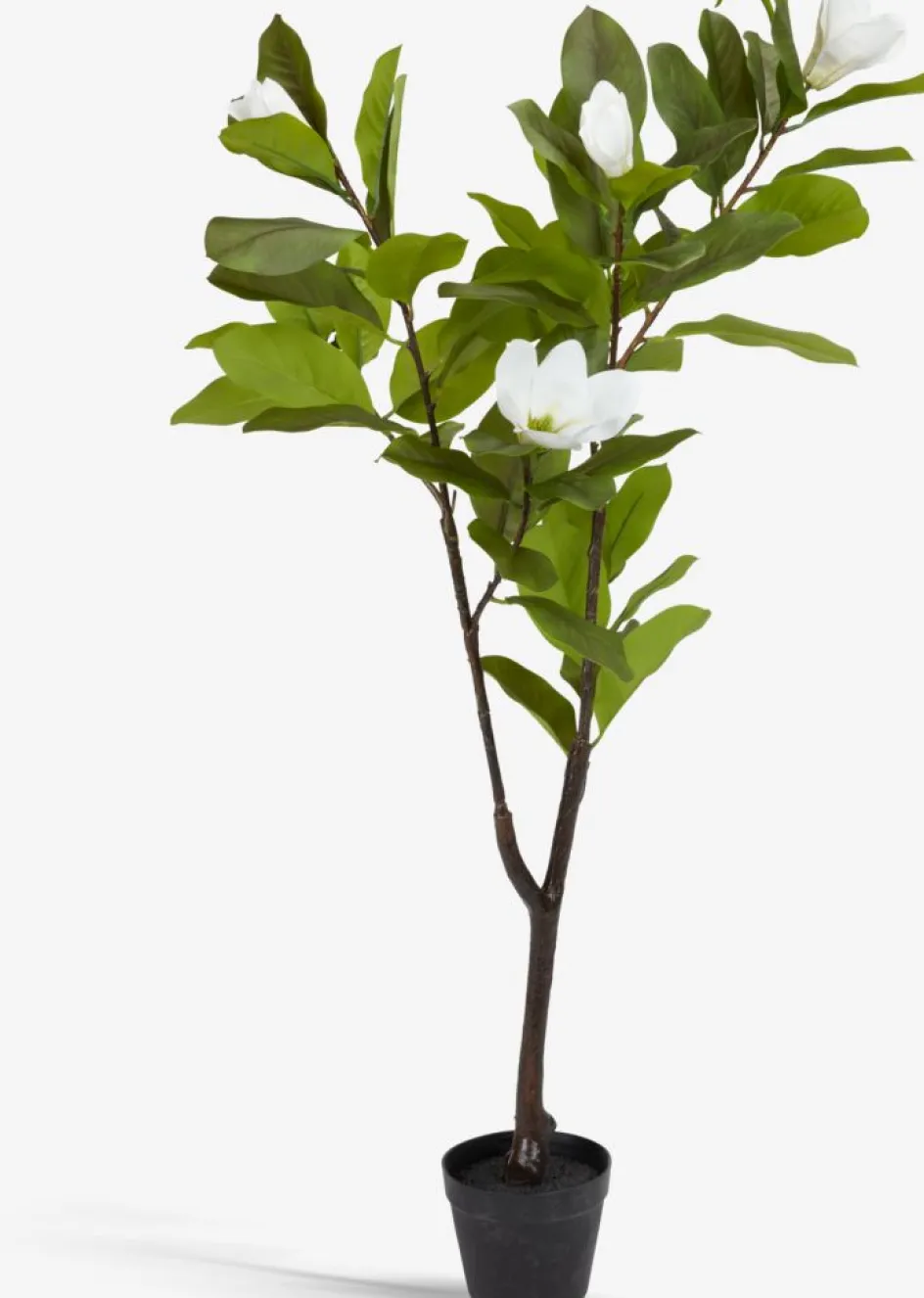 Discount SPINDELPlanta artificial SPINDEL A120cm verde/blanco magnolia Plantas Artificiales Exterior