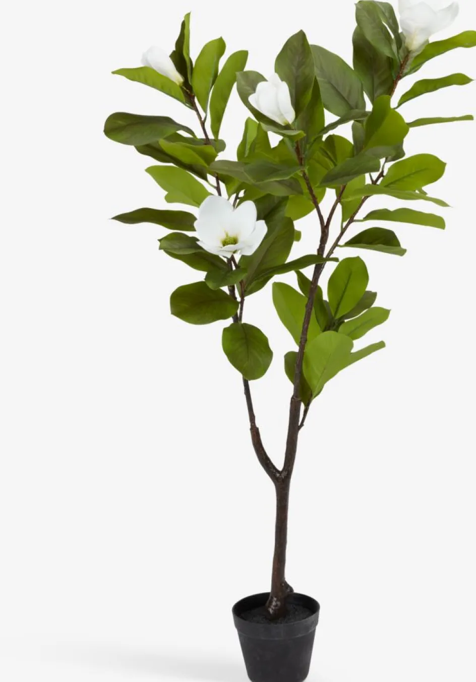 Discount SPINDELPlanta artificial SPINDEL A120cm verde/blanco magnolia Plantas Artificiales Exterior