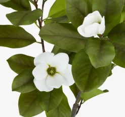 Discount SPINDELPlanta artificial SPINDEL A120cm verde/blanco magnolia Plantas Artificiales Exterior