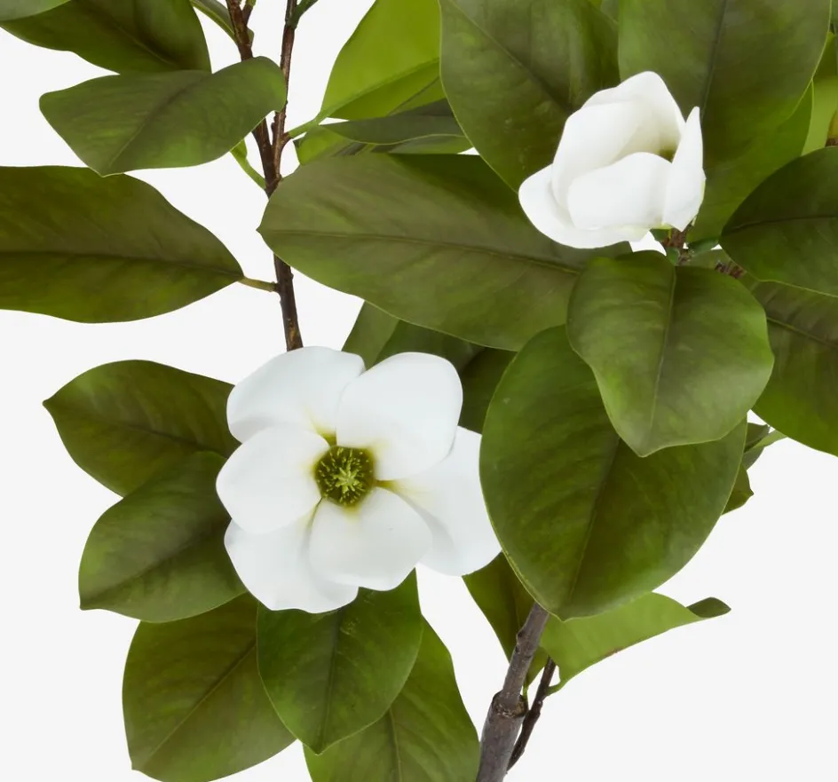 Discount SPINDELPlanta artificial SPINDEL A120cm verde/blanco magnolia Plantas Artificiales Exterior