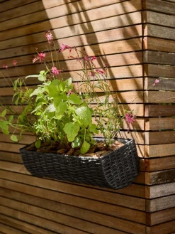 Clearance STEINTROSTJardinera para balcón STEINTROST A18xL50xA16 negro Maceteros
