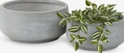 Hot TERASSEMacetero TERASSE Ø44/36 gris juego de 2 Maceteros